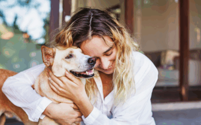 The Power of Pets: How Our Animal Friends Transform Our Health and Well-Being