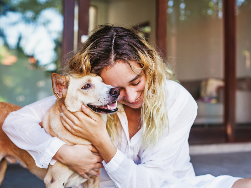 The Power of Pets: How Our Animal Friends Transform Our Health and Well-Being