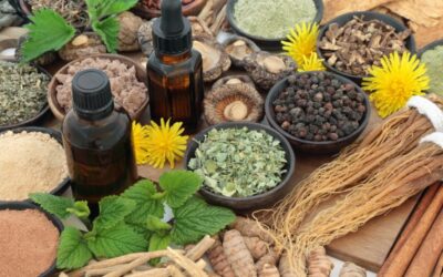 Back-to-Balance: How Adaptogens Can Help You Reset After a Busy Summer