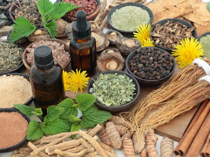 Back-to-Balance: How Adaptogens Can Help You Reset After a Busy Summer